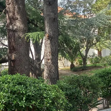 Superbe Appt 3 Pces Wi-fi Clim Piscine Vue Sur Les Iles Et Les Paquebots Apartment Cannes