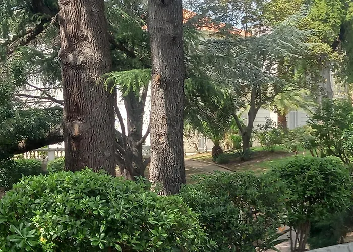 Superbe Appt 3 Pces Wi-fi Clim Piscine Vue Sur Les Iles Et Les Paquebots Apartment Cannes