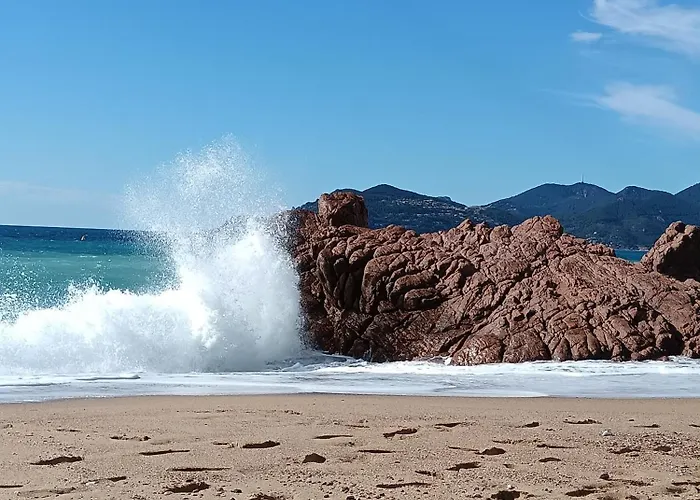 Superbe Appt 3 Pces Wi-fi Clim Piscine Vue Sur Les Iles Et Les Paquebots *